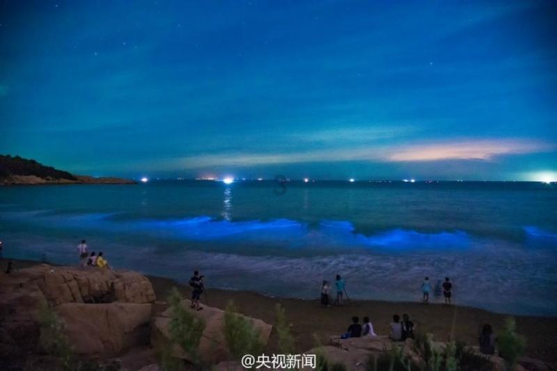 骑士的侍从