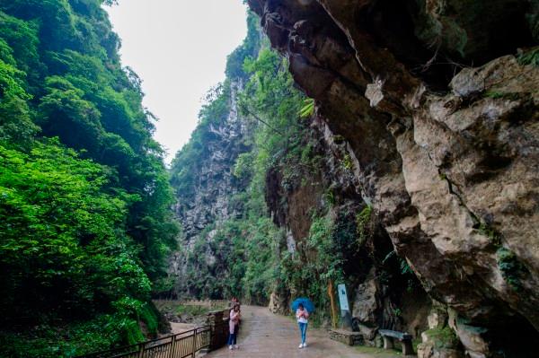 小柴胡汤在胃食管反流病中的妙用