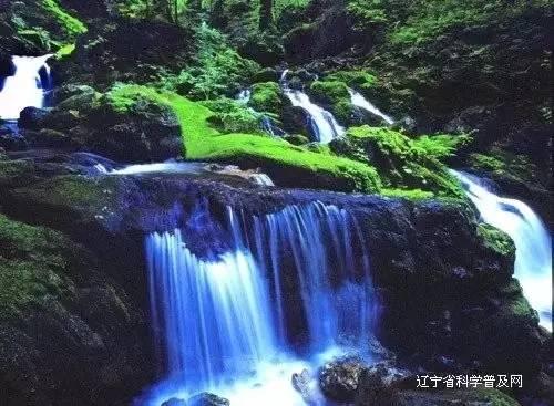 再次迎来分红 居民共享发展成果