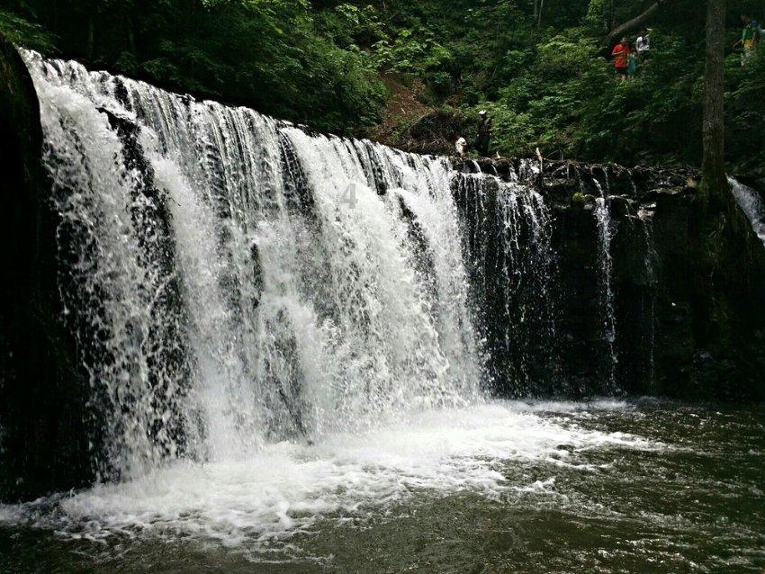 华梦丽:逐梦沃野,跑出科技兴农新天地